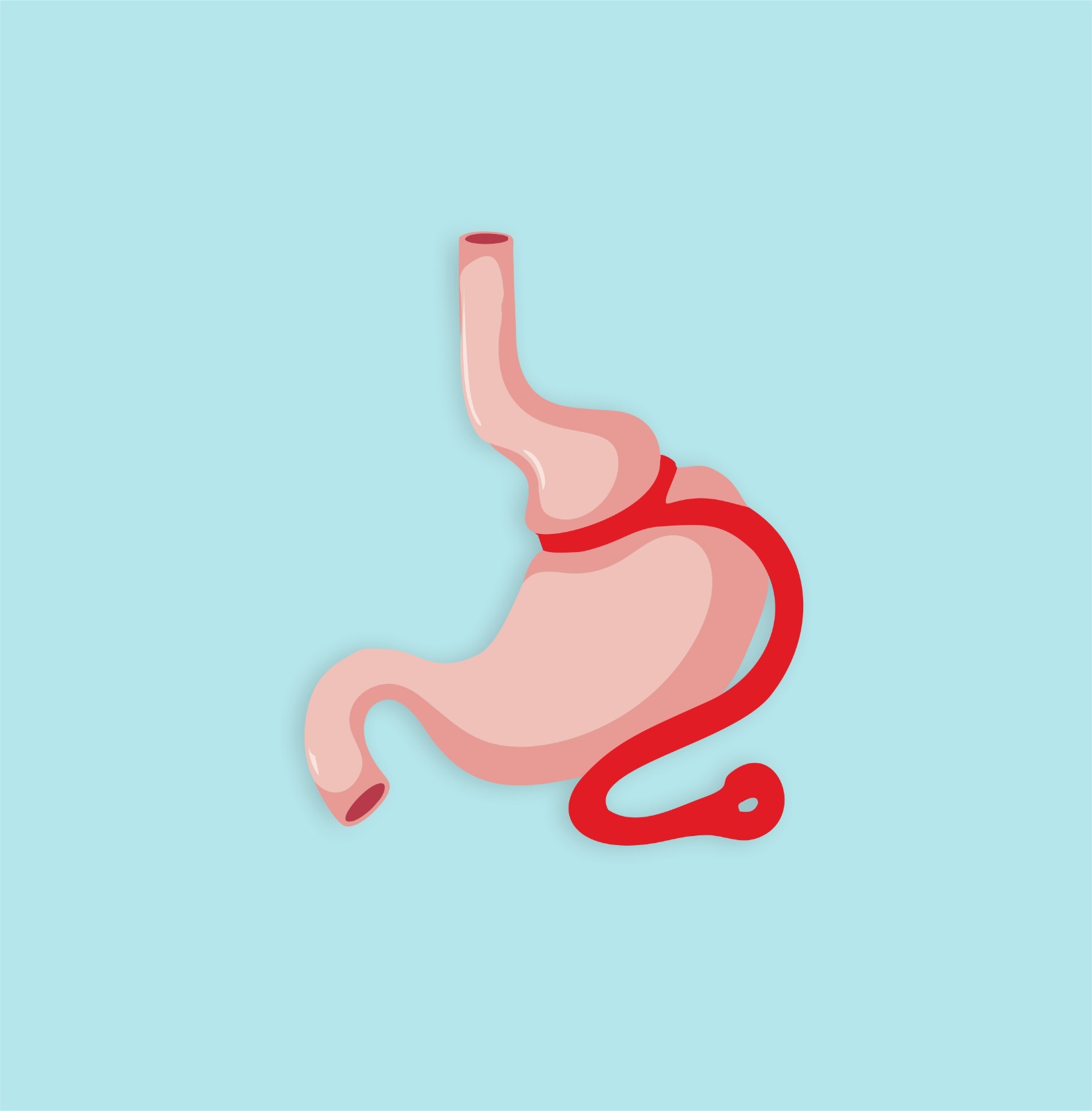 Programa BANDA GÁSTRICA VIRTUAL Sanando desde la mente